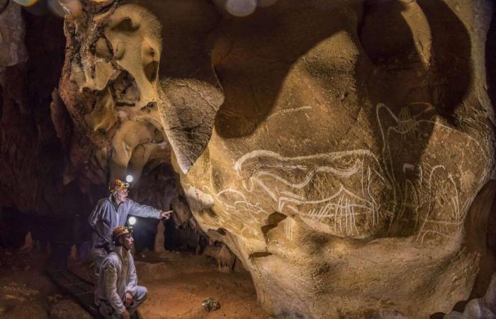 Ein Erdrutsch hatte sie 21.000 Jahre lang verborgen. In dieser Höhle verbergen sich die ältesten Meisterwerke der Menschheit