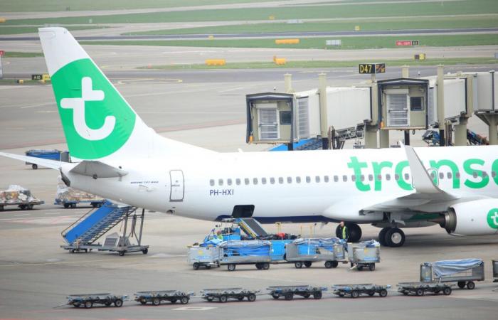 Entdecken Sie die 10 neuen Sommerziele von Transavia ab Frankreich