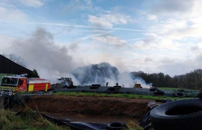 Kühe und Gebäude wurden von der Feuerwehr gerettet