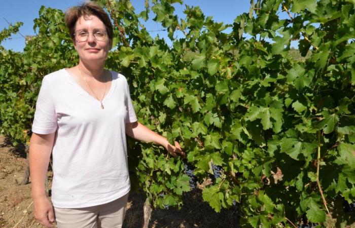 in der Dordogne ein großes Blutvergießen, um „sich auf das zu konzentrieren, was am wertvollsten ist“