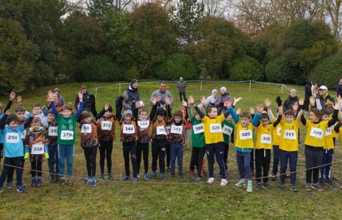 Echos von LAC 11: Der Chaurien-Leichtathletikclub organisierte sein jährliches Langlaufrennen, wie die Ergebnisse zeigten