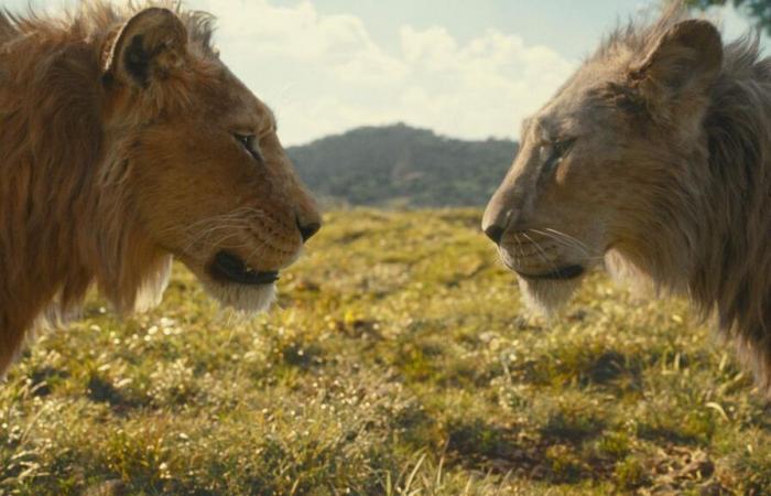 Begrüßen Kritiker das „König der Löwen“-Prequel?