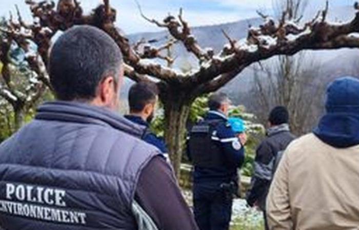 Sechzehn Jagdwaffen, eine Armbrust, Munition … ein wahres Arsenal, das im Haus einer Privatperson in Nant im Aveyron entdeckt wurde