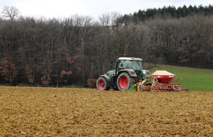 Agrarkrise in Aude: Der Präfekt leitet den Prozess der teilweisen Grundsteuererleichterung ein