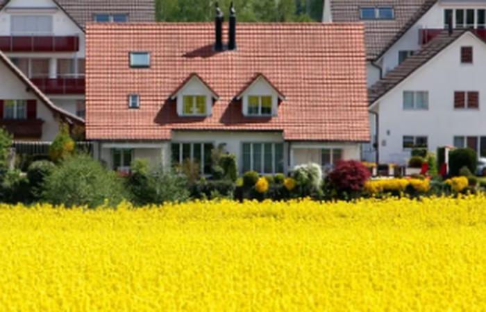 Abschaffung rückt durch Ständerat näher