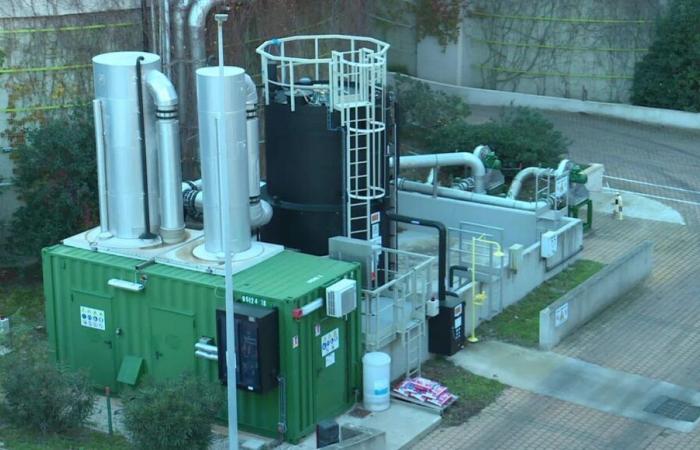 VIDEO – Biogas und Biomethan: Marseille, Pionier der erneuerbaren Energien in Frankreich