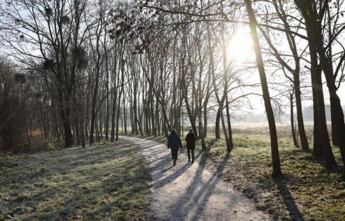 Wie wird das Wetter zu Weihnachten sein? Was die neuesten Prognosen sagen (): 7-Tage-Vorhersage