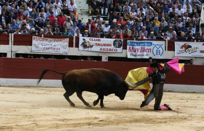 Feria de Vic: Morenito de Aranda, der Held der Gers-Arenen, allein gegen sechs Bullen im Jahr 2025