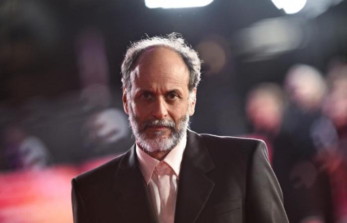 Luca Guadagnino sagt, dass „After the Hunt“ sich nicht wie seine anderen Filme mit „Sexualität oder Liebe“ auseinandersetzen wird