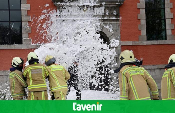 Mehrere hundert wallonische Beamte des öffentlichen Dienstes auf den Straßen von Namur, um Haushaltskürzungen anzuprangern