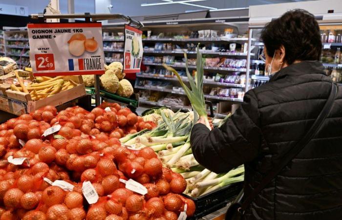 Wenn Zwiebeln von anderswo „Made in France“ werden: Ein Unternehmen aus Tarn wird ausgezeichnet