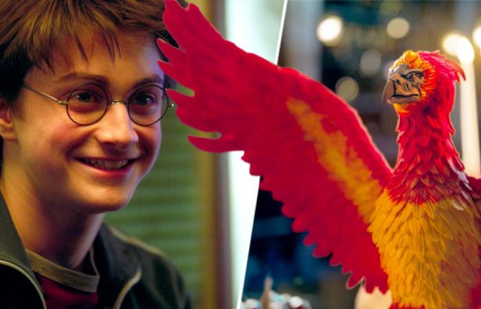 Harry-Potter-Fans freuen sich über eine neue Serie, die Sie vielleicht verpasst haben – Harry Potter