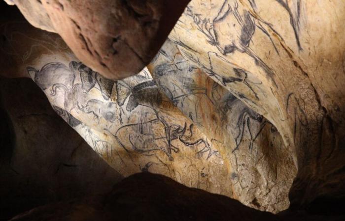 Die Chauvet-Höhle, Sixtinische Kapelle der Vorgeschichte, feiert dreißig Jahre seit ihrer Entdeckung