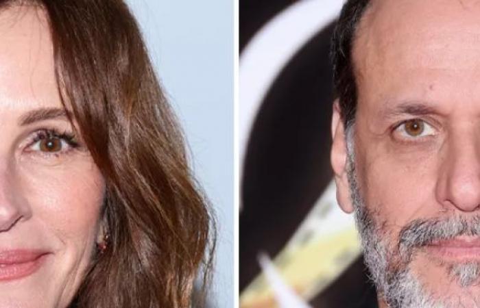 Luca Guadagninos „After the Hunt“-Testbildschirme; Der aktuelle #MeToo-Thriller Julia Roberts ist „unglaublich“ – World of Reel