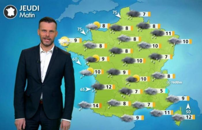 Wetter für Ihren Donnerstag, 19. Dezember: Rückkehr von Regen und starkem Wind