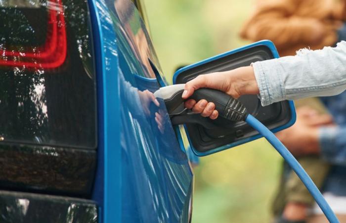 Ende Roulez vert: Wie viel steht mir beim Kauf eines Elektrofahrzeugs noch zu?