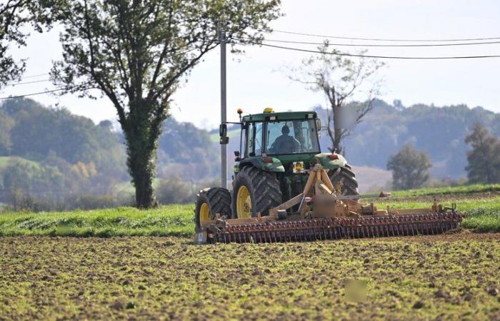 WAHR ODER FALSCH. Ist die französische Landwirtschaft tatsächlich auf den sechsten Platz der Weltexporte zurückgefallen, wie Marine Le Pen behauptet?