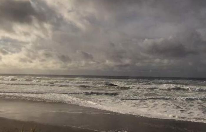 Starke Winde haben an der Küste von Oregon für Tausende Menschen den Strom ausgefallen