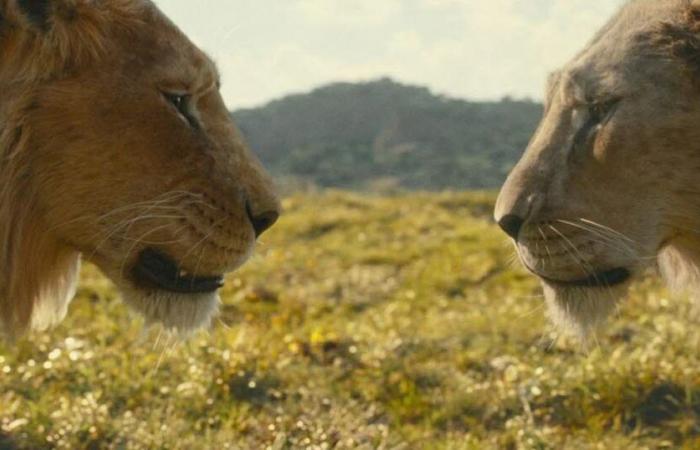 Was ist dieser neue Teil von „Der König der Löwen“ in computergenerierten Bildern wert?