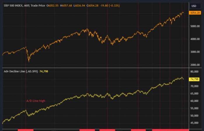 S&P 500-Breite im freien Fall – TradingView News