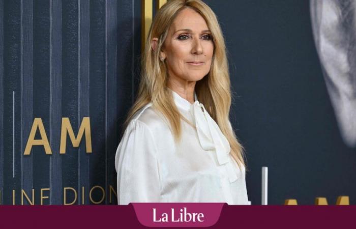 „Celine Dion wird eine Show wie bisher nicht mehr abliefern können“