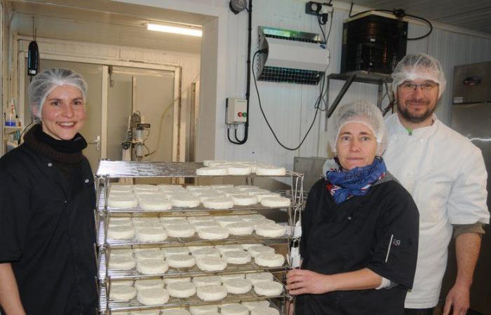 Produkte aus Süd-Aveyron: Pérail, der andere Käse aus Süd-Aveyron