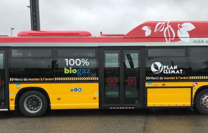 Haut-Rhin. In Mulhouse sind die Busse und Straßenbahnen von Soléa an diesem Wochenende kostenlos