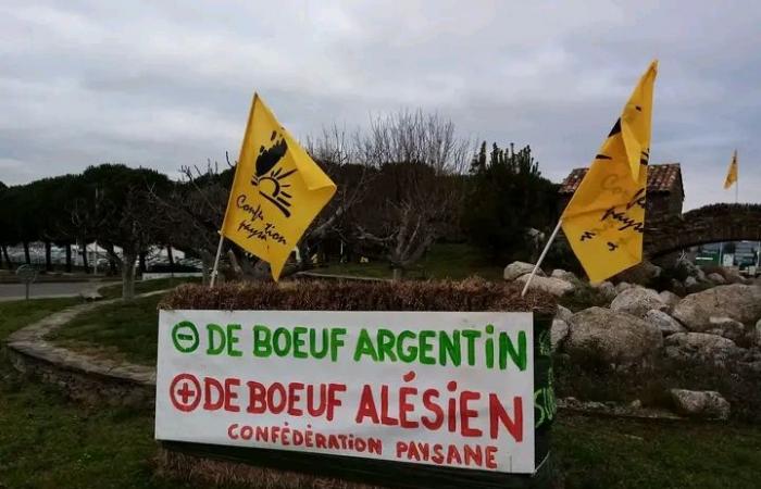 Gard: Der Bauernbund stellt sich entschieden gegen den Mercosur und die Schließung des Schlachthofs von Alès