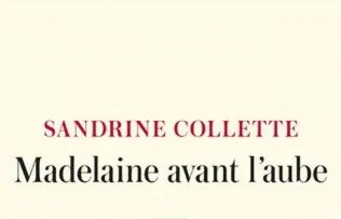 Der Goncourt-Preis für Gefangene 2024 geht an Sandrine Collette für ihren Roman „Madelaine avant l’aube“