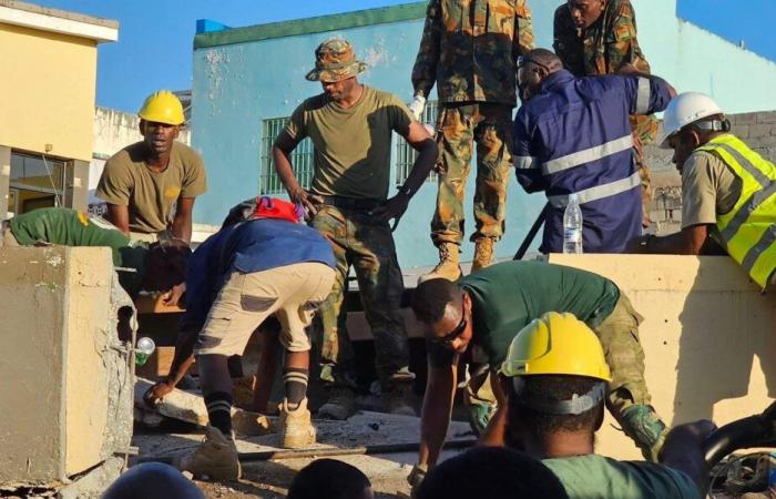 14 Tote und 400 Verletzte beim Erdbeben in Vanuatu und Rettungsbemühungen gehen weiter | Nachricht