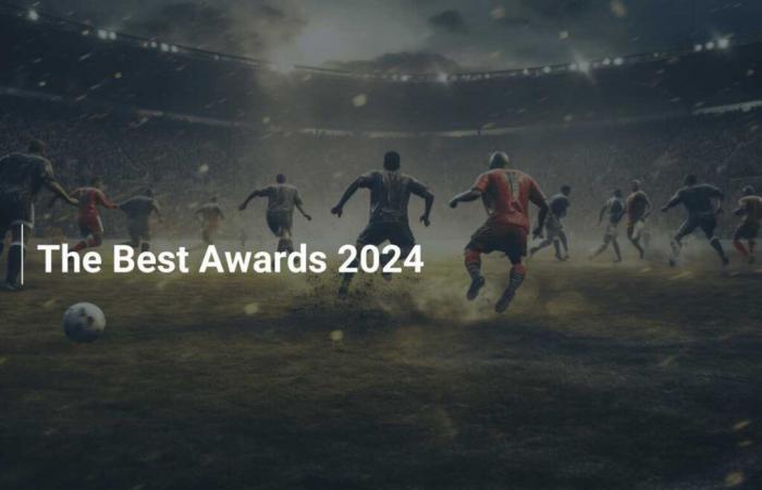 Die besten Auszeichnungen 2024 – footboom1.com