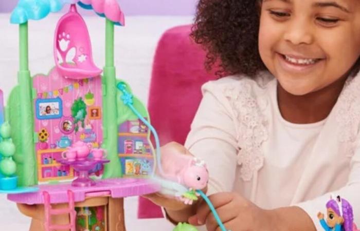 Gabby und das Zauberhaus: Lidl senkt die Preise dieser beiden heiß begehrten Spielzeuge zu Weihnachten