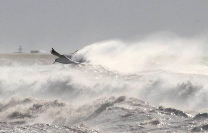 Starker Wind, Böen bis zu 130 km/h… Am Ende der Woche zieht ein Sturm über das Mittelmeer, das ist an der Côte d’Azur zu erwarten