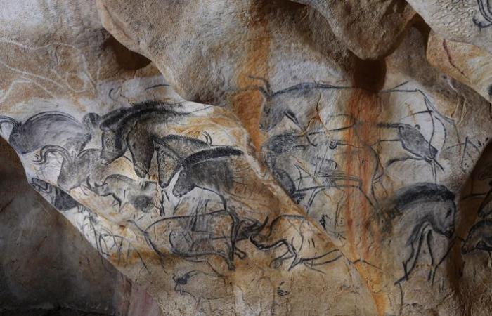 Die Chauvet-Höhle, Sixtinische Kapelle der Vorgeschichte, feiert dreißig Jahre seit ihrer Entdeckung