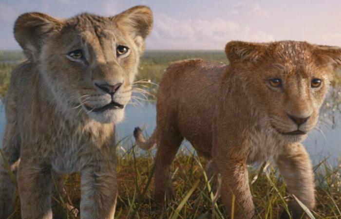 „Mufasa: Der König der Löwen“-Rezensionen: Was Kritiker über den Film sagen