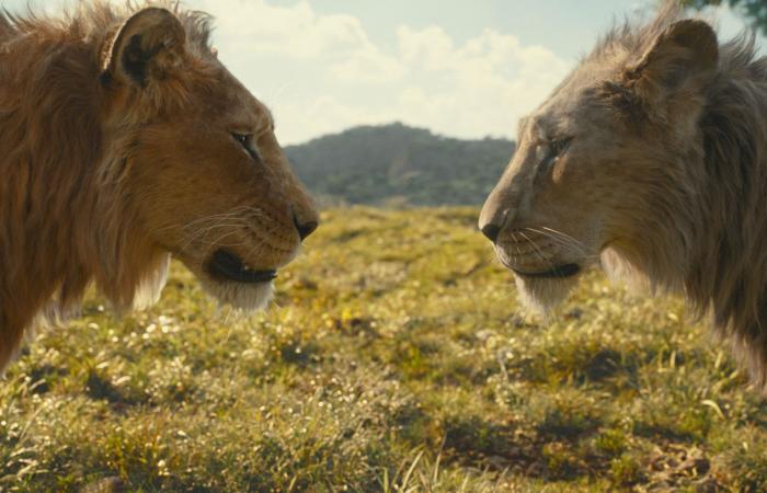 Mufasa-Rezension: Das Prequel zum König der Löwen fühlt sich an wie ein DTV-Disney-Knockoff