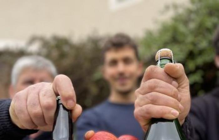 Whisky, ein Buch oder sogar von Schlangen gemähter Schmuck … Einige Geschenkideen aus Lot zu Weihnachten