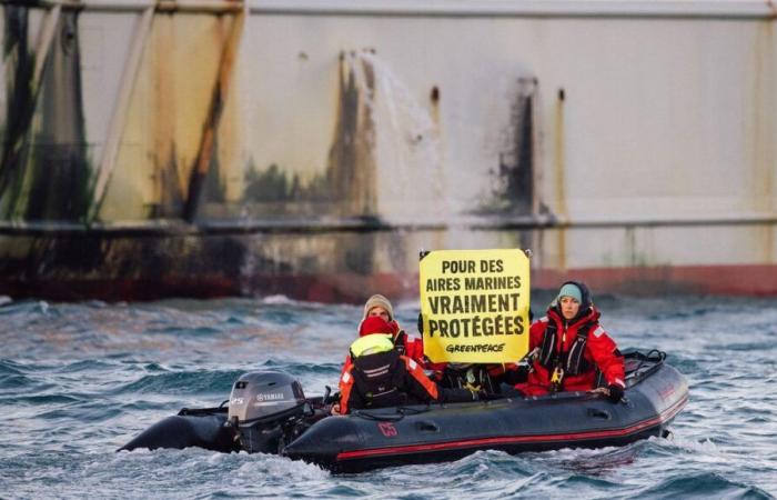 Meeresschutzgebiete: Greenpeace verfolgt industrielle Fischerboote