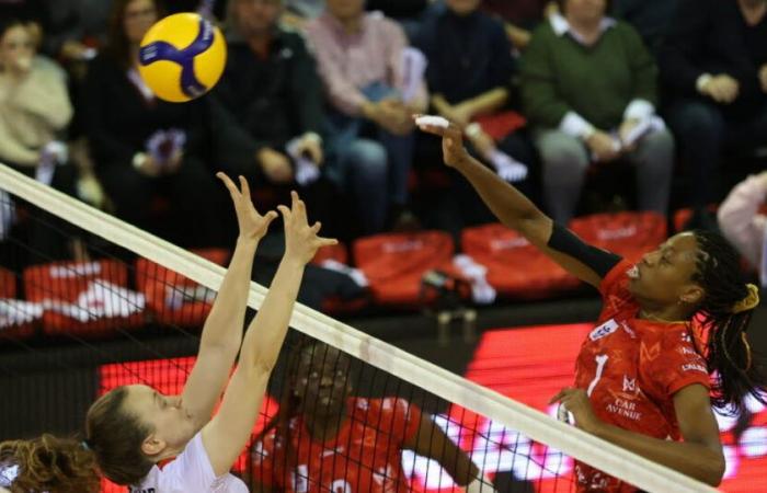 Volleyball. Verfolgen Sie das Spiel zwischen Volley Mulhouse Alsace und Quimper ab 19 Uhr live.