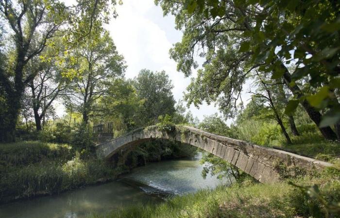 Laut Actions Coulon drohte das römische Aquädukt von Cavaillon vom Verschwinden