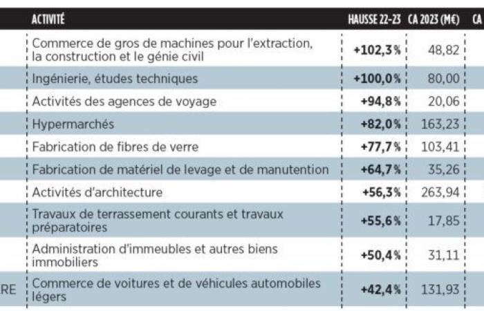 Unternehmensranking: Die TOP 10 der stärksten Umsatzsteigerungen in Savoie und Haute-Savoie