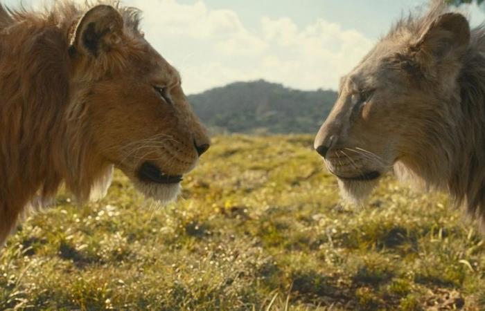 Unsere Filmkritik zum Film „Mufasa, der König der Löwen“: Die Reise des Vaters