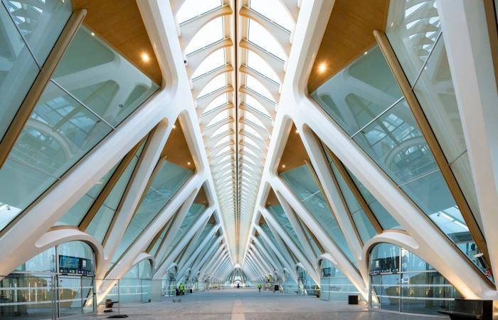 Bahnhof Mons, dieses größenwahnsinnige Delirium