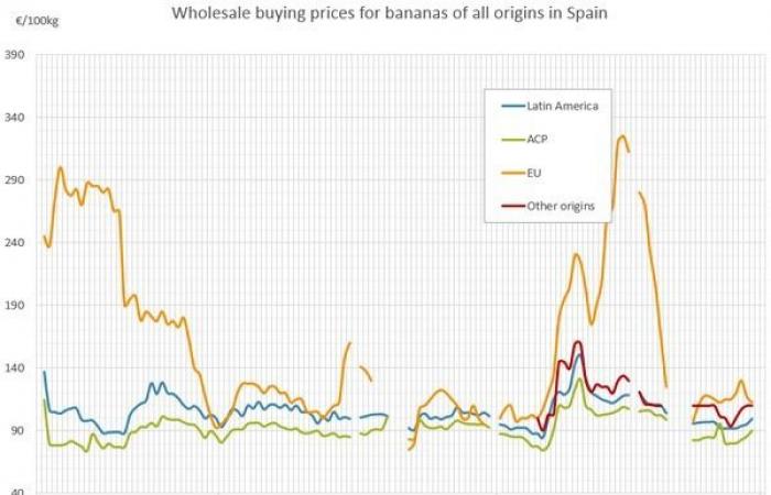 Die Bananenpreise in Europa steigen im Dezember 2024 um bis zu 12 Euro pro Kilogramm