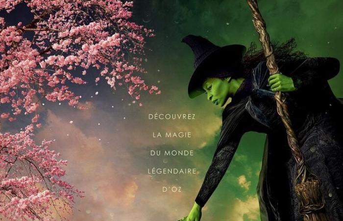 Wicked Cinema Grand Ecran Pontonx-sur-l’Adour Freitag, 20. Dezember 2024