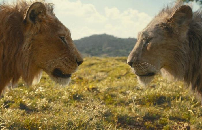 Mufasa: Der König der Löwen Rezension