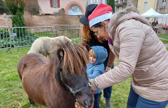 einen Weihnachtsmarkt, um dem Inaya-Tierheim zu helfen