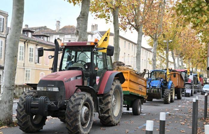 „Zeigen Sie den Menschen ein paar Sterne“: Die Ländliche Koordination von Gers organisiert vor Weihnachten eine Traktorparade