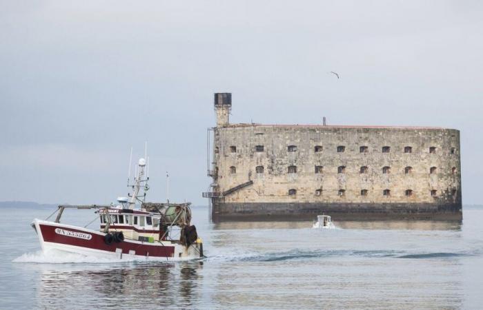 Charente-Maritime ruft zu Spenden auf, um Fort Boyard zu retten