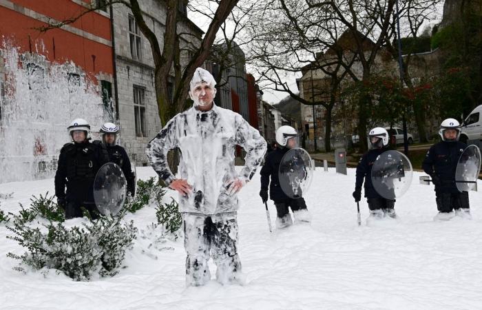 Mehrere hundert wallonische Beamte des öffentlichen Dienstes auf den Straßen von Namur, um Haushaltskürzungen anzuprangern